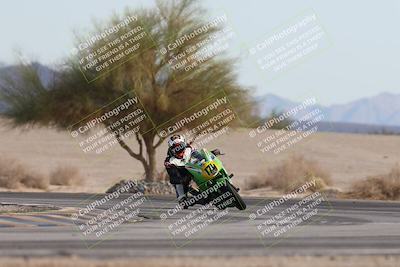 media/Nov-30-2025-TrackXperience (Sun) [[c0061d280f]]/2-Level 2/Session 6 Turn 4 Tree of Life/